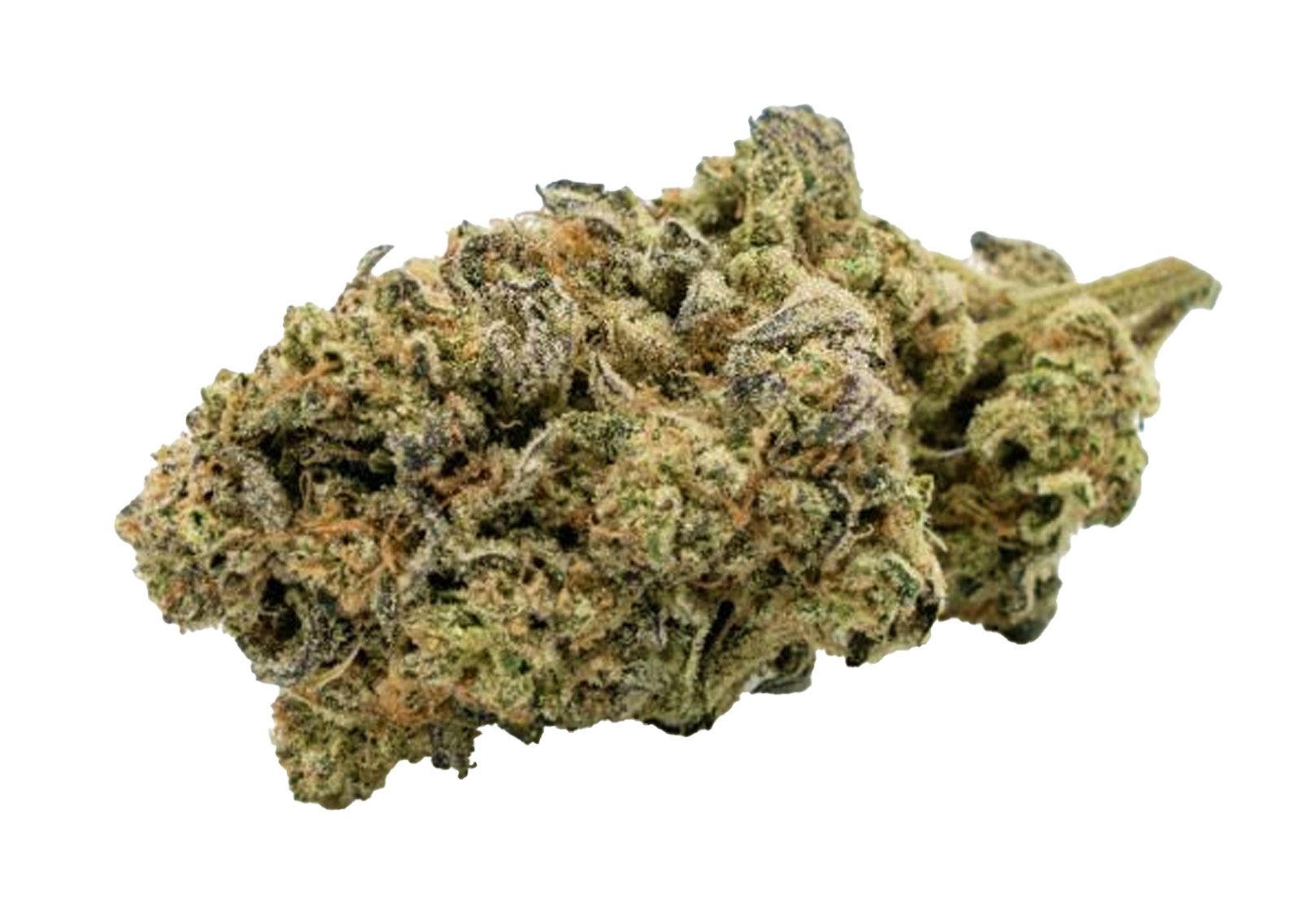 CBD Buds